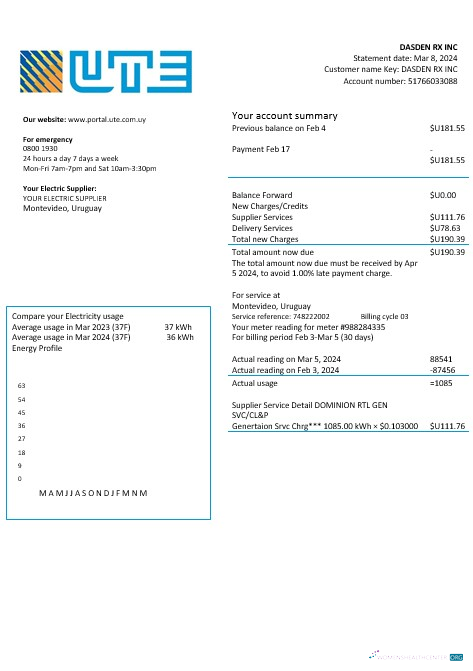 Uruguay UTE Company electricity business utility bill template in Word and PDF formats